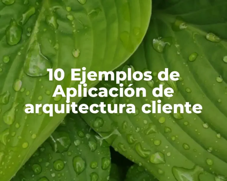 10 Ejemplos de Aplicación de arquitectura cliente