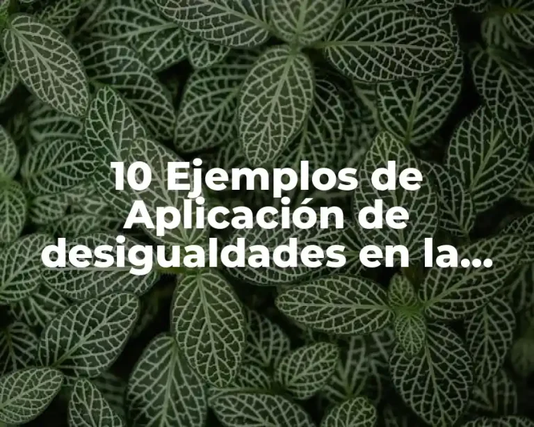 10 Ejemplos de Aplicación de desigualdades en la vida cotidiana