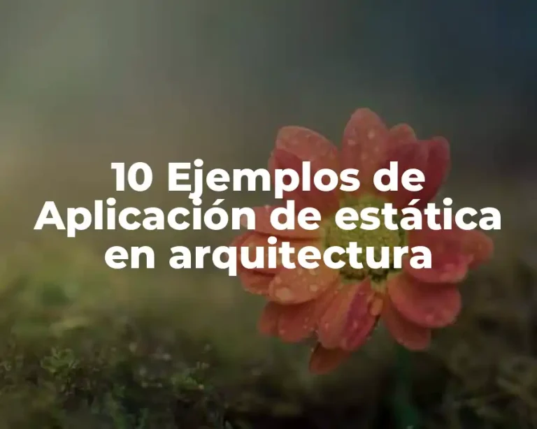 10 Ejemplos de Aplicación de estática en arquitectura