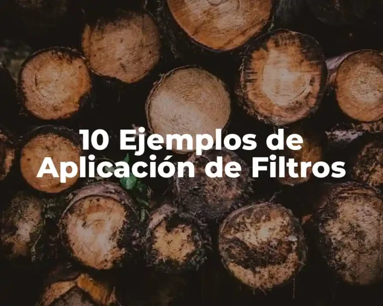 10 Ejemplos de Aplicación de Filtros