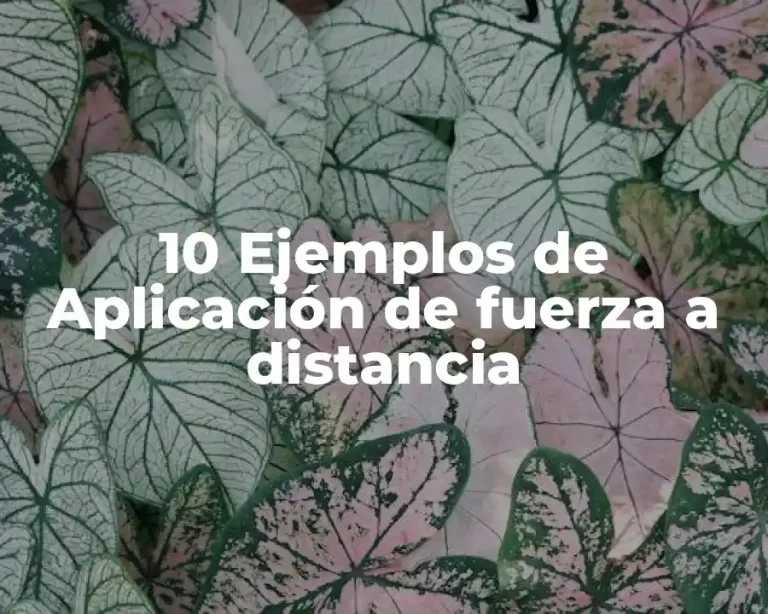 10 Ejemplos de Aplicación de fuerza a distancia