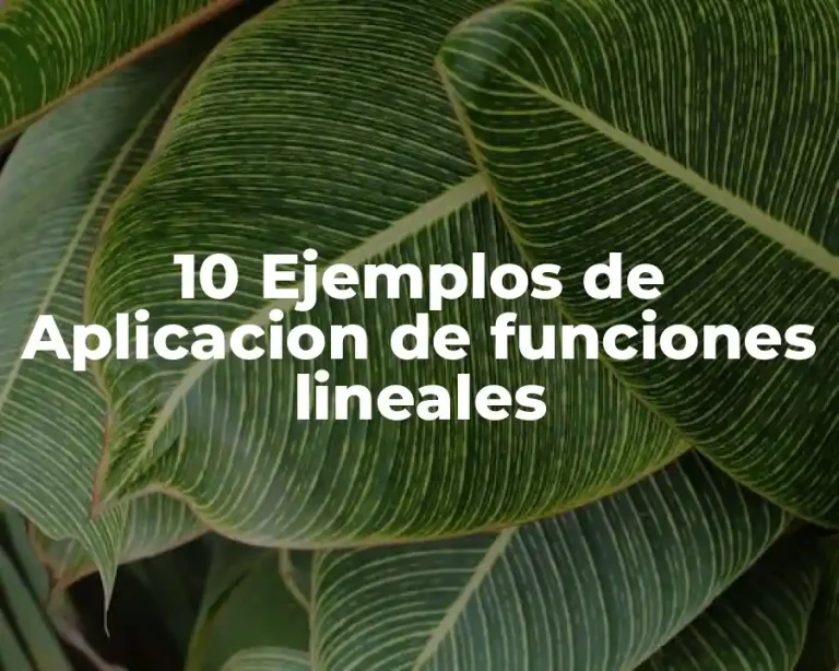 10 Ejemplos de Aplicacion de funciones lineales