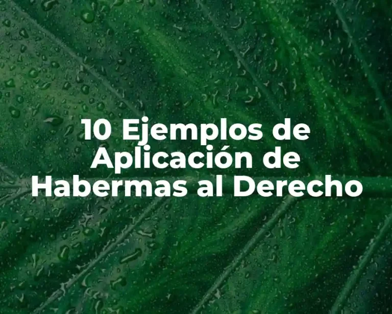10 Ejemplos de Aplicación de Habermas al Derecho