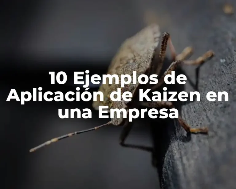 10 Ejemplos de Aplicación de Kaizen en una Empresa