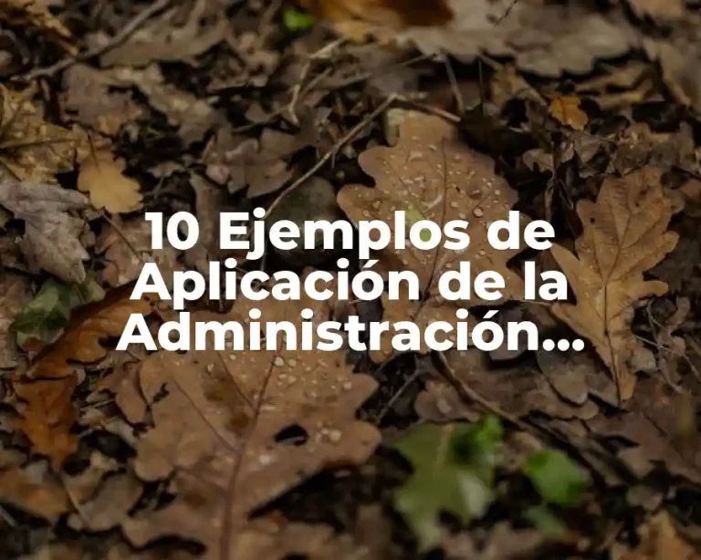 10 Ejemplos de Aplicación de la Administración Gerencial