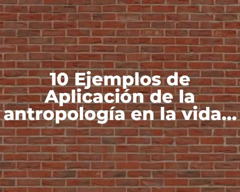 10 Ejemplos de Aplicación de la antropología en la vida cotidiana