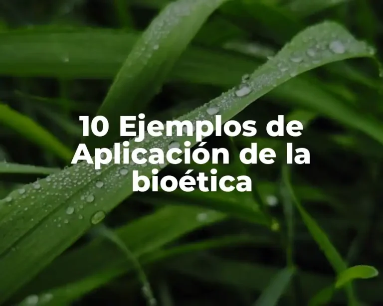 10 Ejemplos de Aplicación de la bioética