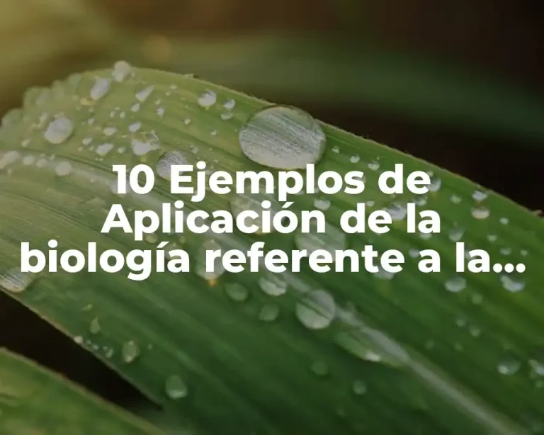 10 Ejemplos de Aplicación de la biología referente a la informática