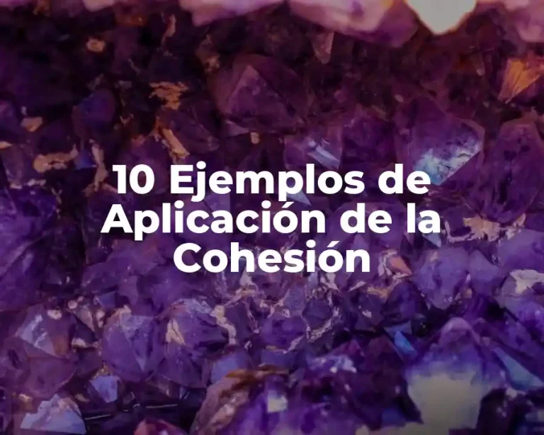 10 Ejemplos de Aplicación de la Cohesión