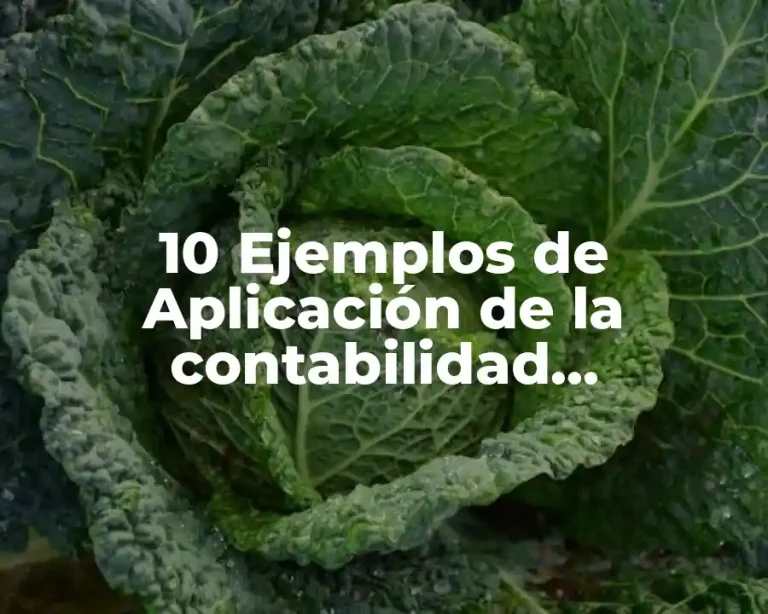 10 Ejemplos de Aplicación de la contabilidad administrativa en una organización