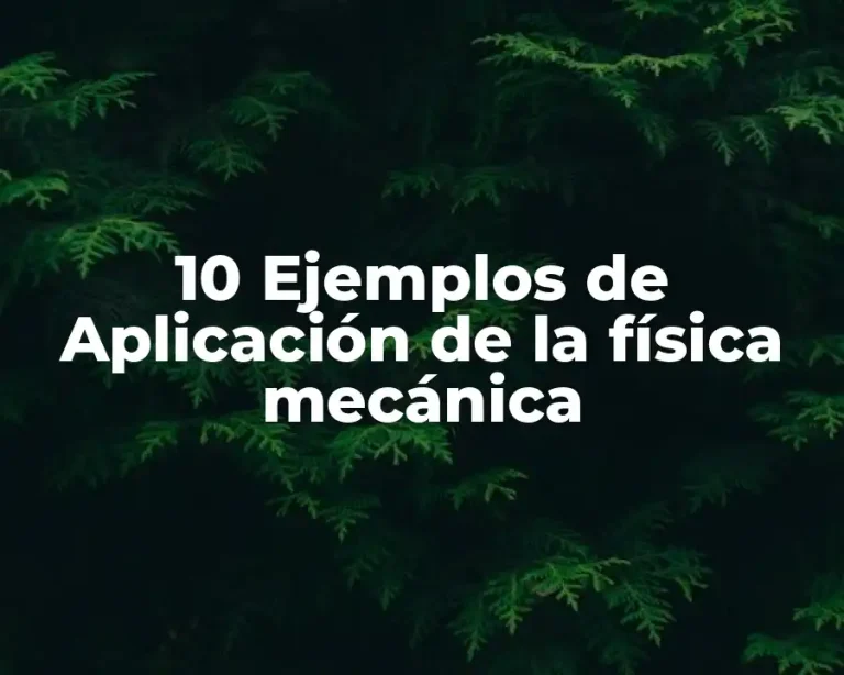 10 Ejemplos de Aplicación de la física mecánica