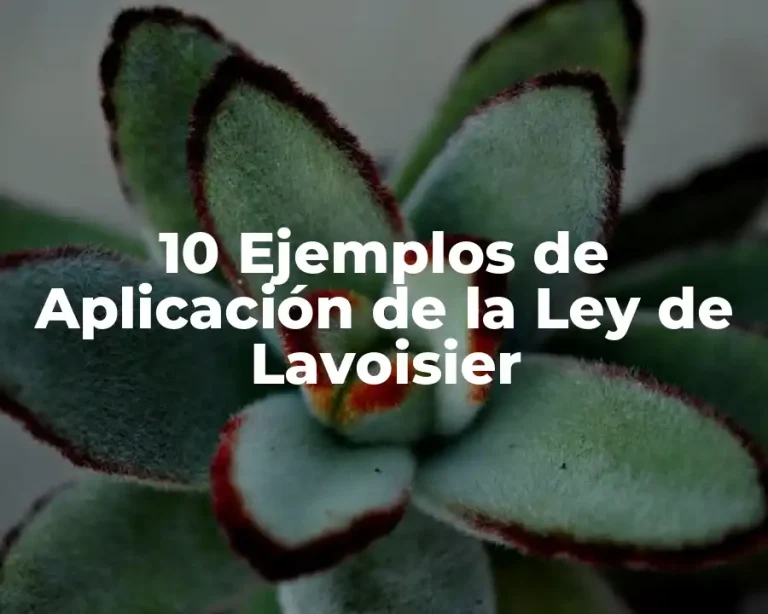 10 Ejemplos de Aplicación de la Ley de Lavoisier