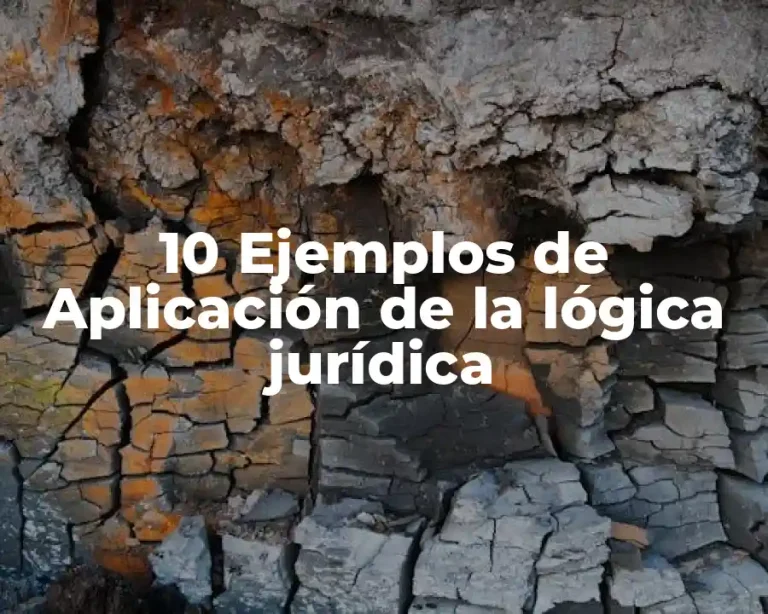 10 Ejemplos de Aplicación de la lógica jurídica