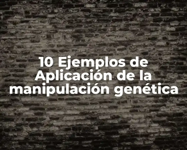 10 Ejemplos de Aplicación de la manipulación genética