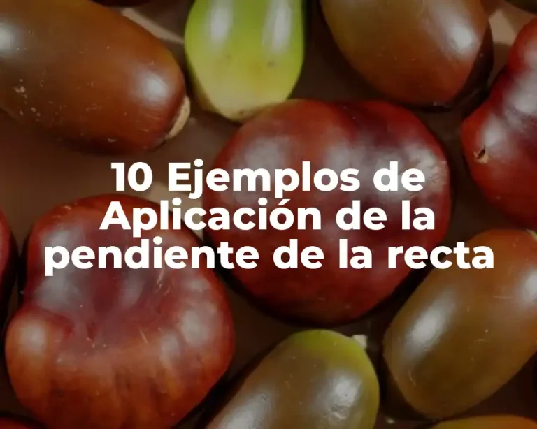 10 Ejemplos de Aplicación de la pendiente de la recta