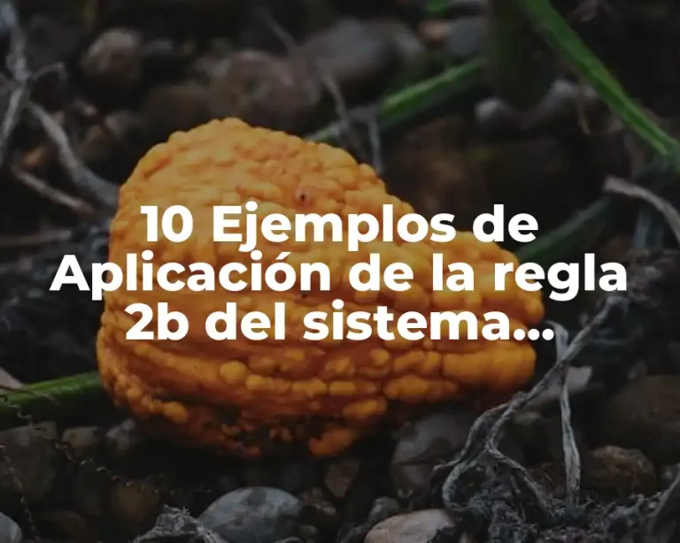 10 Ejemplos de Aplicación de la regla 2b del sistema armonizado
