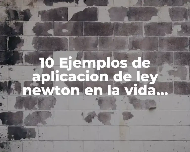 10 Ejemplos de aplicacion de ley newton en la vida cotidiana o entorno