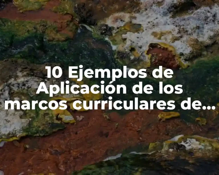 10 Ejemplos de Aplicación de los marcos curriculares de educación indígena