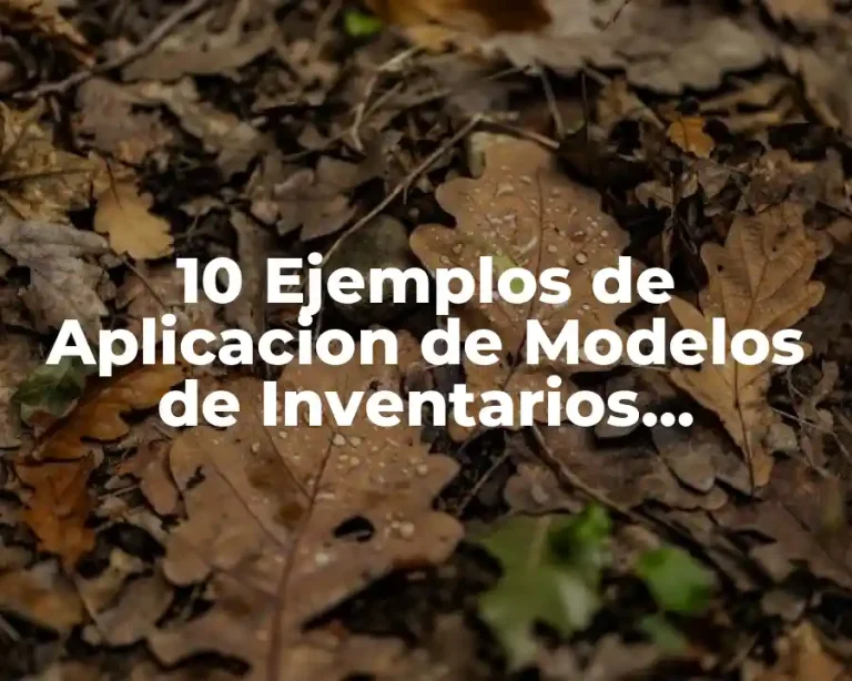 10 Ejemplos de Aplicacion de Modelos de Inventarios Probabilísticos