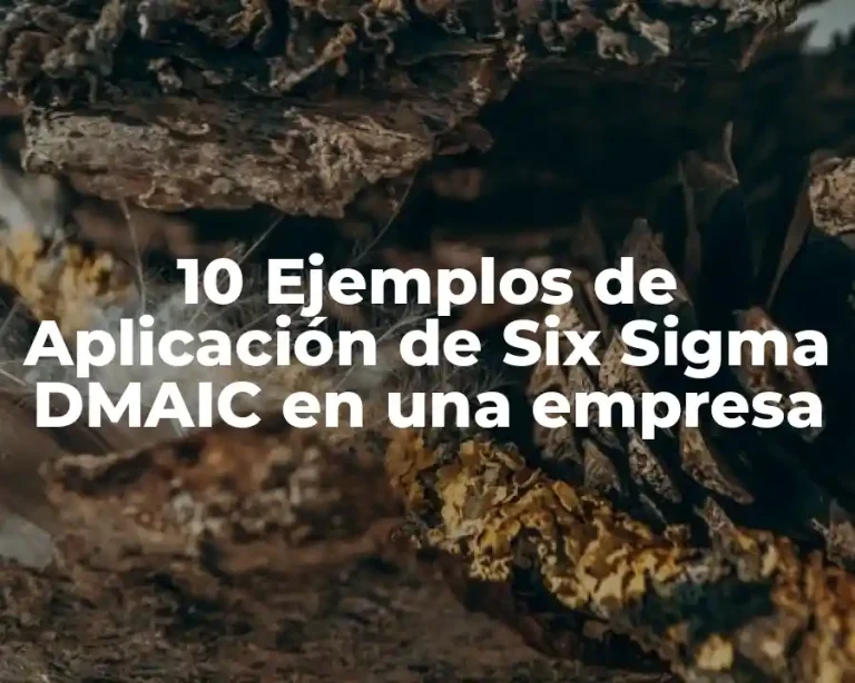 10 Ejemplos de Aplicación de Six Sigma DMAIC en una empresa