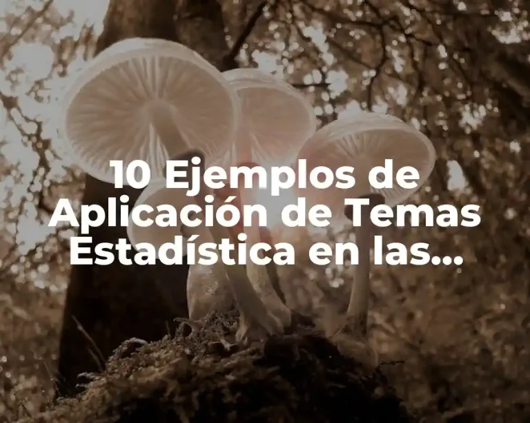 10 Ejemplos de Aplicación de Temas Estadística en las Empresas