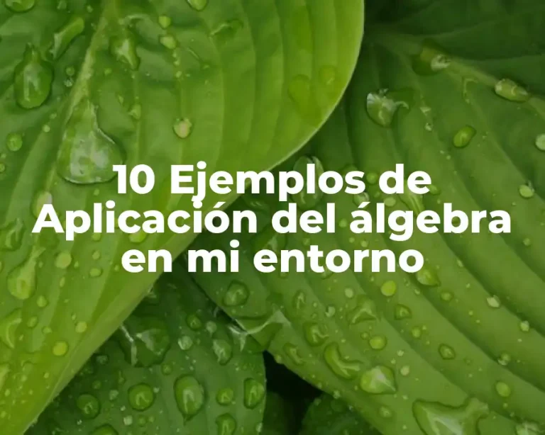 10 Ejemplos de Aplicación del álgebra en mi entorno