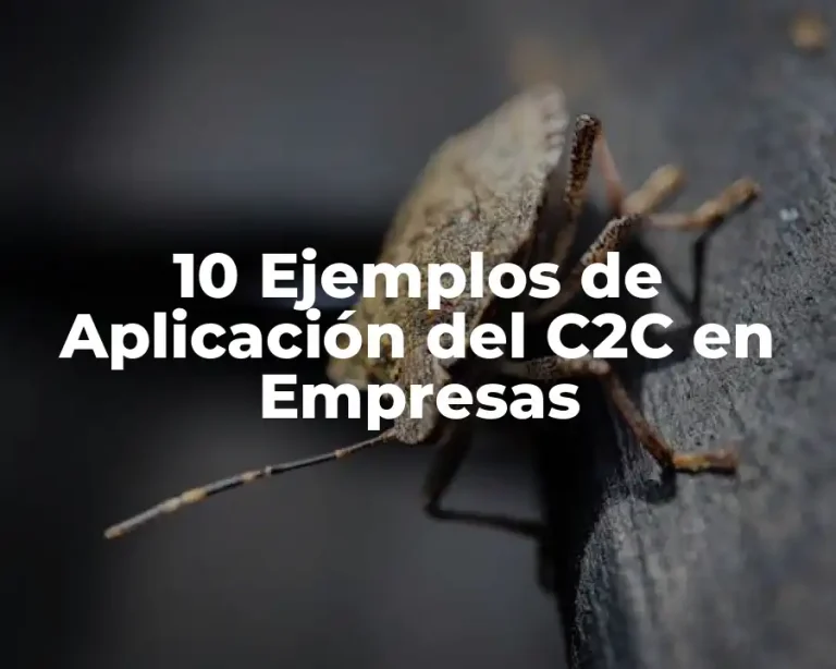 10 Ejemplos de Aplicación del C2C en Empresas