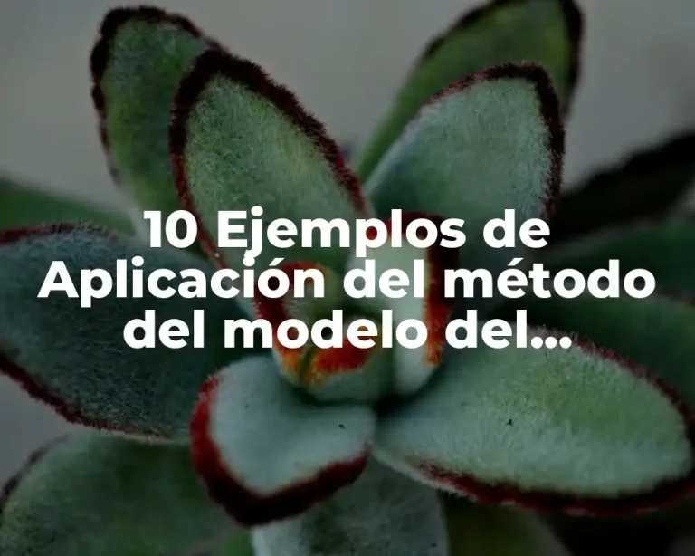 10 Ejemplos de Aplicación del método del modelo del transporte