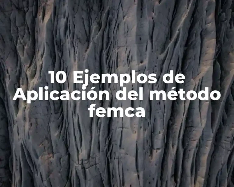 10 Ejemplos de Aplicación del método femca