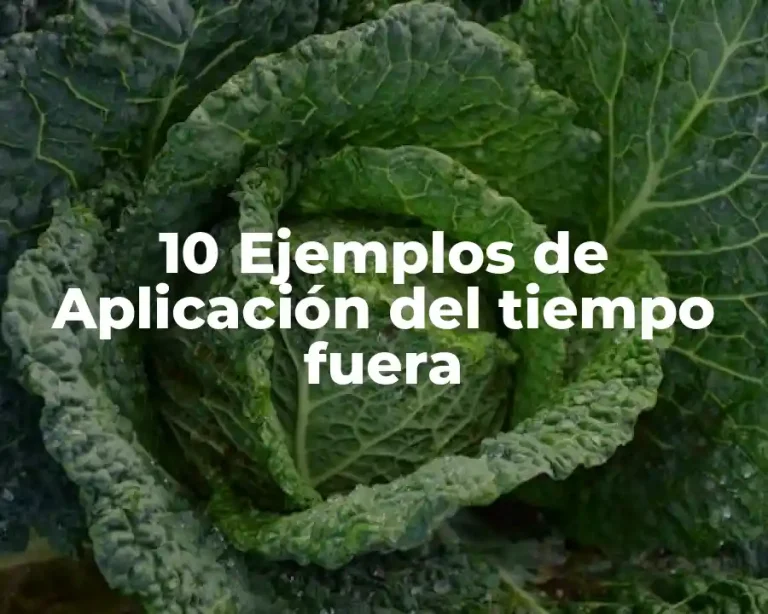 10 Ejemplos de Aplicación del tiempo fuera