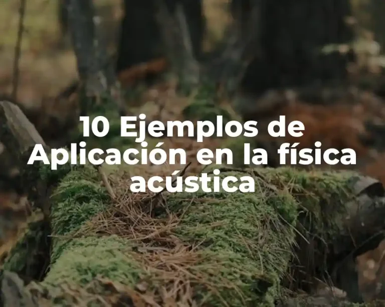 10 Ejemplos de Aplicación en la física acústica