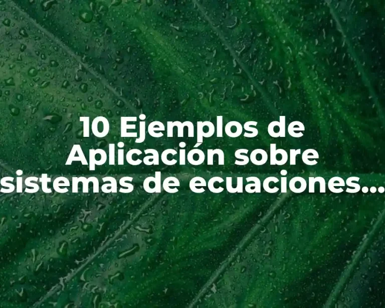 10 Ejemplos de Aplicación sobre sistemas de ecuaciones lineales con matrices