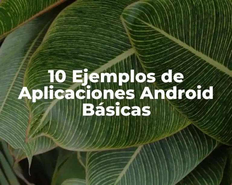 10 Ejemplos de Aplicaciones Android Básicas