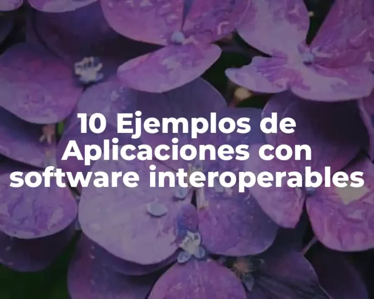 10 Ejemplos de Aplicaciones con software interoperables