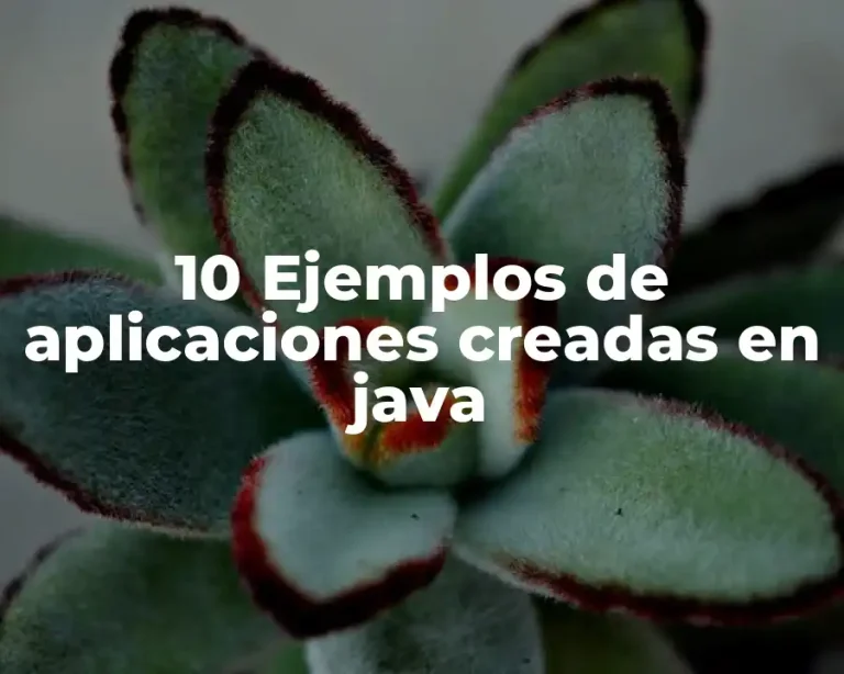 10 Ejemplos de aplicaciones creadas en java