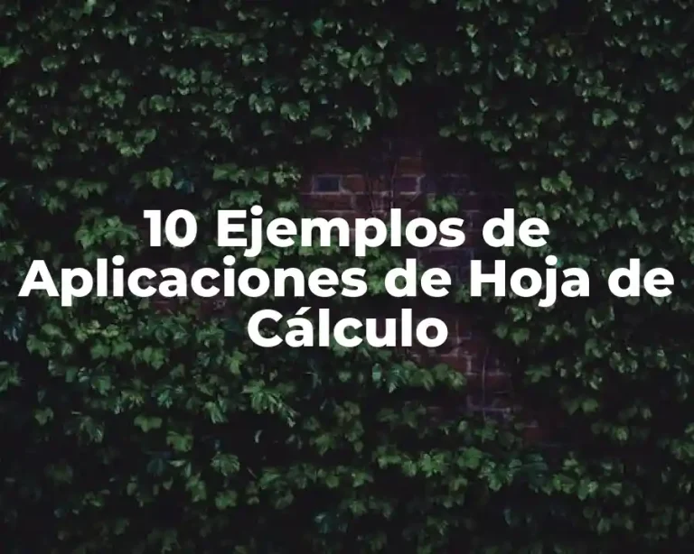 10 Ejemplos de Aplicaciones de Hoja de Cálculo