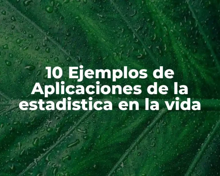 10 Ejemplos de Aplicaciones de la estadistica en la vida