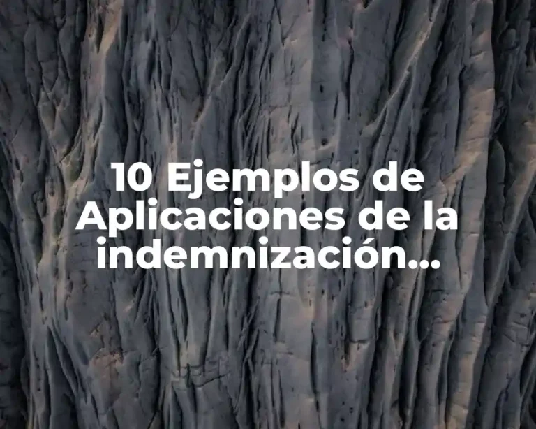10 Ejemplos de Aplicaciones de la indemnización temporal