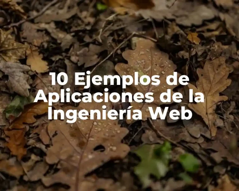10 Ejemplos de Aplicaciones de la Ingeniería Web