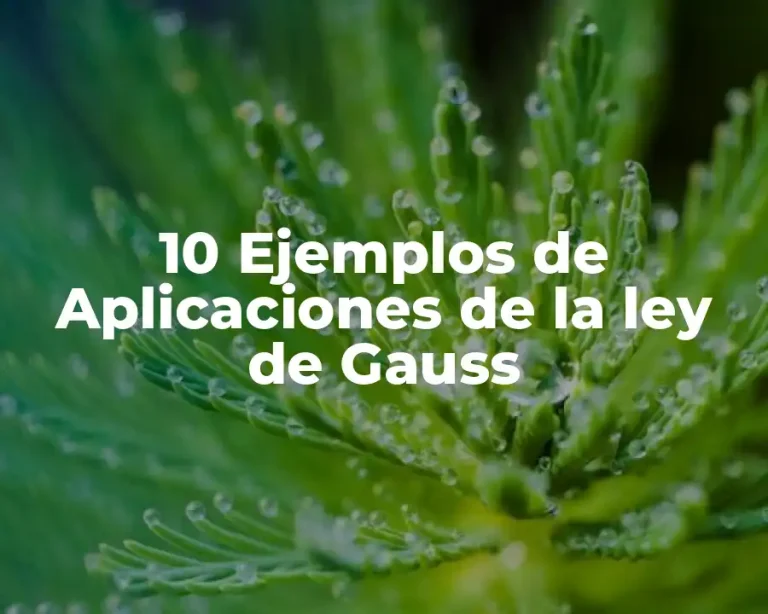 10 Ejemplos de Aplicaciones de la ley de Gauss