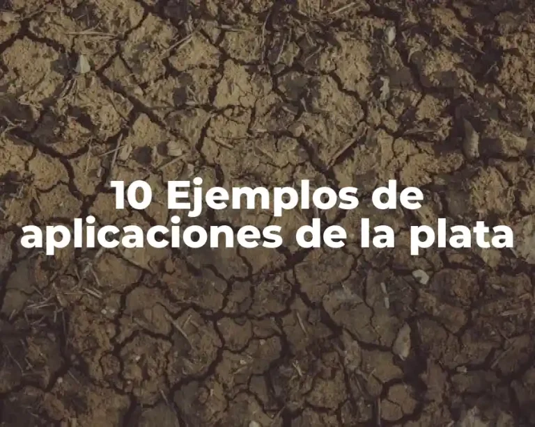 10 Ejemplos de aplicaciones de la plata