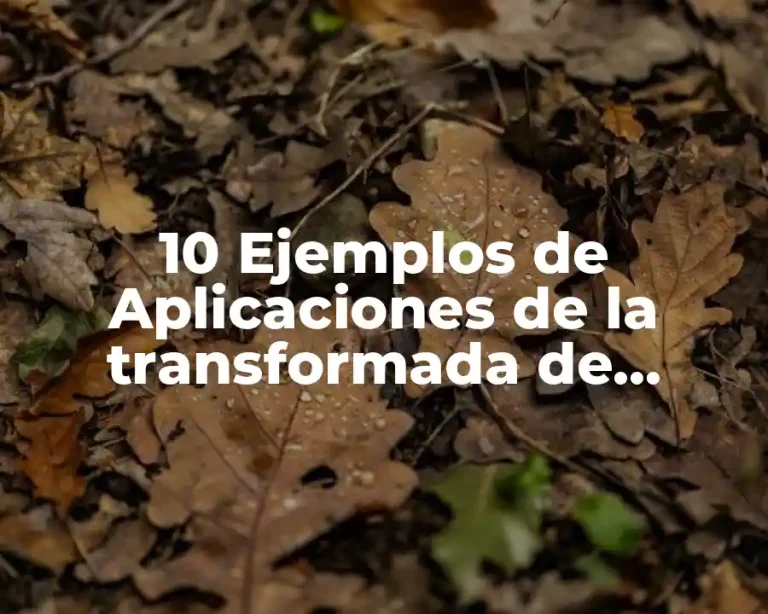 10 Ejemplos de Aplicaciones de la transformada de Laplace