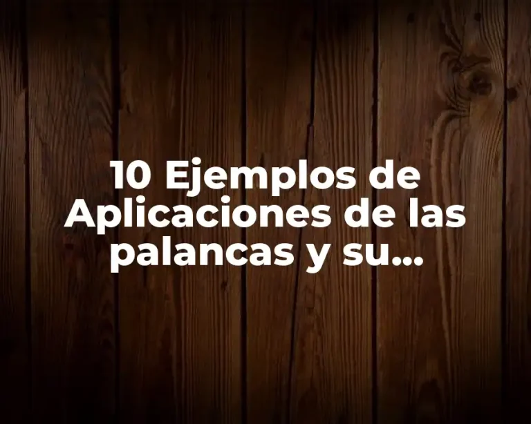 10 Ejemplos de Aplicaciones de las palancas y su clasificación