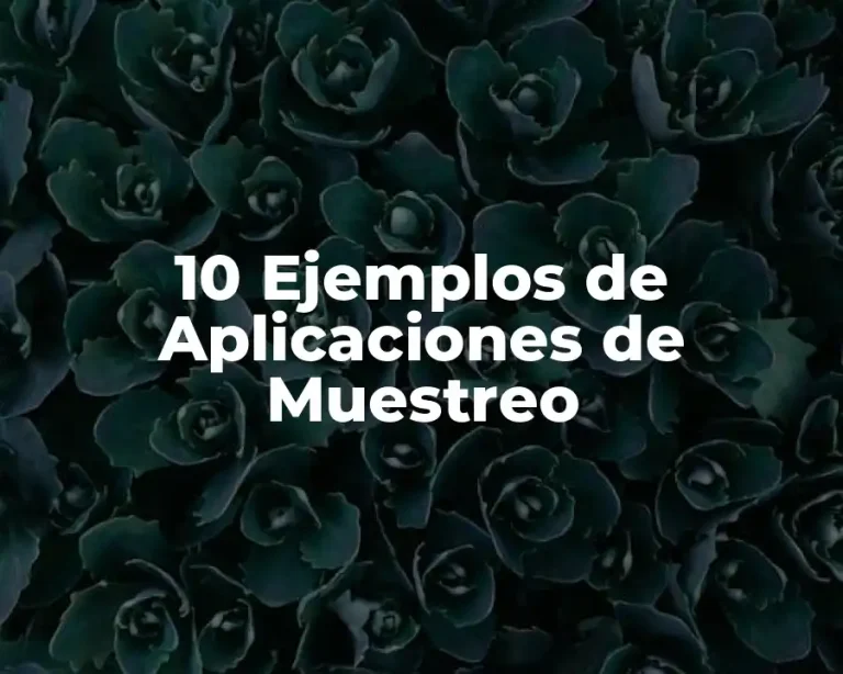 10 Ejemplos de Aplicaciones de Muestreo