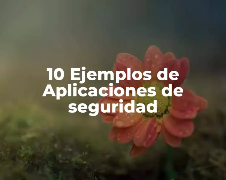 10 Ejemplos de Aplicaciones de seguridad
