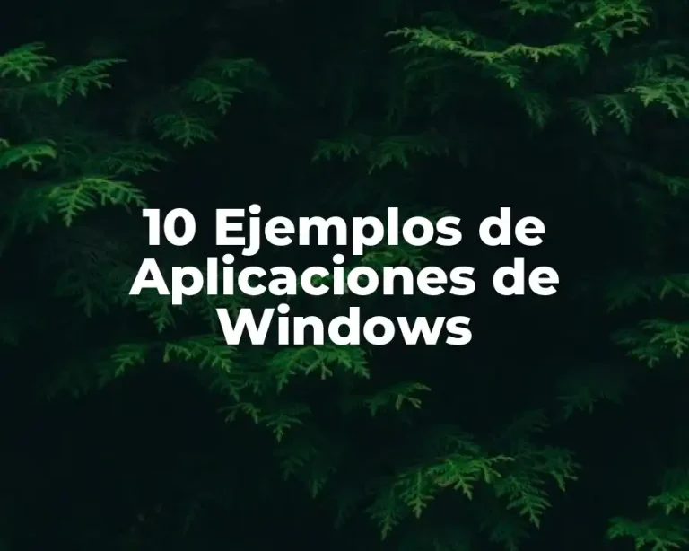 10 Ejemplos de Aplicaciones de Windows