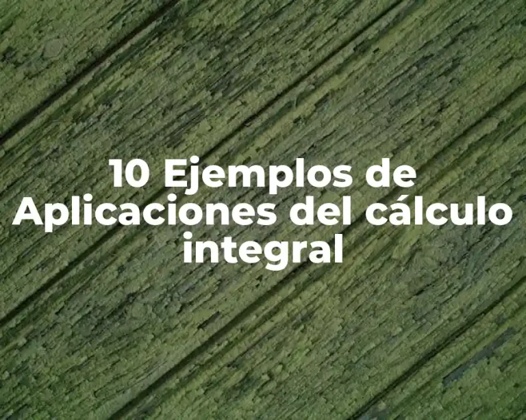 10 Ejemplos de Aplicaciones del cálculo integral