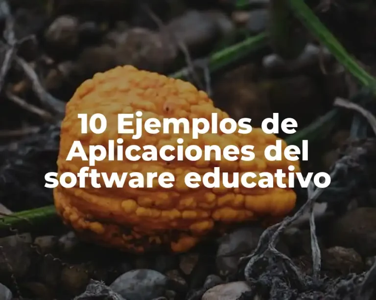 10 Ejemplos de Aplicaciones del software educativo