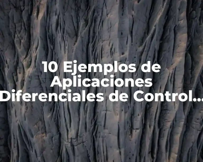 10 Ejemplos de Aplicaciones Diferenciales de Control de Nivel de Agua
