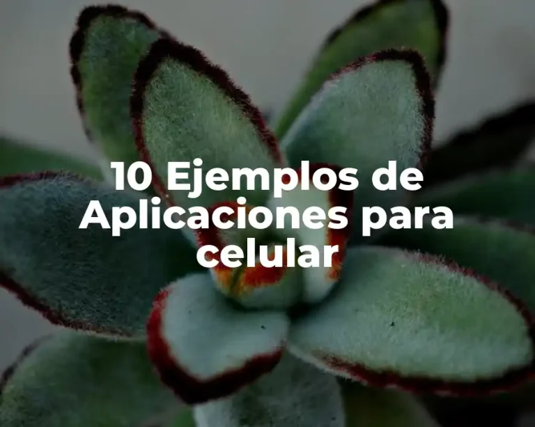 10 Ejemplos de Aplicaciones para celular